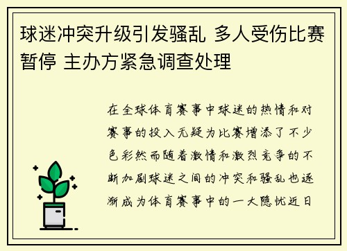 球迷冲突升级引发骚乱 多人受伤比赛暂停 主办方紧急调查处理