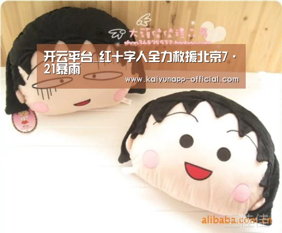  开云官网